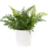 Artificial Fern In White Ceramic Pot -Garden Oasis 810587205 A0 1