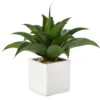 Artificial Succulent In Square White Ceramic Pot -Garden Oasis 810587212 A0 1