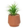 Artificial Succulent In Terra-Cotta Cement Pot -Garden Oasis 810587243 A0 1