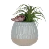 Artificial Succulent Arrangement In 2-Tone Carved Ceramic Pot -Garden Oasis 810587246 A0