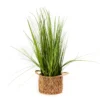 29" Artificial Grass In Basket With Handles -Garden Oasis 810587389 A0 1