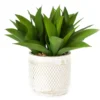 Artificial Succulent In White Diamond Cement Pot -Garden Oasis 810587394 A0 1