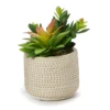 Artificial Succulent Arrangement In Beaded Cement Pot -Garden Oasis 810588665 A0 1