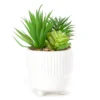 Artificial Succulent Arrangement In White Footed Pot -Garden Oasis 810588666 A0 1