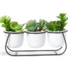Artificial Succulents In White Pots & Metal Stand -Garden Oasis 810588973 A0 1