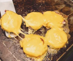 3-Burner Portable Gas Griddle With Lid -Garden Oasis 810590432 9