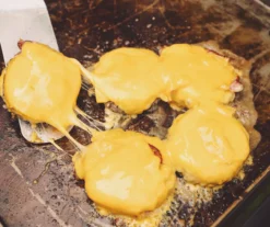 3-Burner Folding Gas Griddle With Lid -Garden Oasis 810590434 11