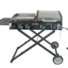 4-Burner Folding Gas Grill With Griddle -Garden Oasis 810590436