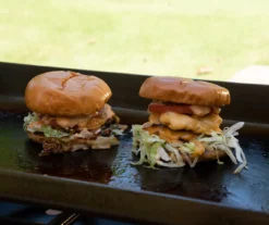 2-Burner Portable Gas Griddle -Garden Oasis 810590437 7