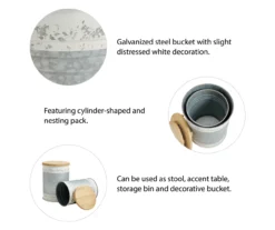 Galvanized Steel & White 2-Piece Metal Storage Stool Set -Garden Oasis 810596862 8