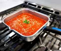 RAZOR Multi-Use 4-Quart Fry Pot & Sauce Pan -Garden Oasis 810597071 4