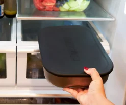 RAZOR 3-in-1 Griddle Dome -Garden Oasis 810597080 4