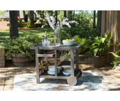 Kailani Gray Rolling Patio Serving Cart -Garden Oasis 810599455 1