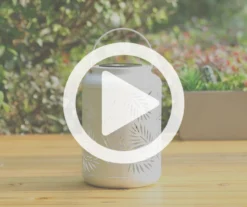 White Leaf Cut-Out Metal LED Solar Lantern -Garden Oasis 810607496 V0