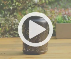 Black Leaf Cut-Out Metal LED Solar Lantern -Garden Oasis 810607498 V0