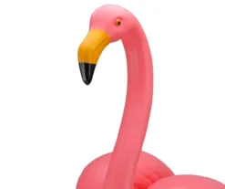 Northlight Pink Flamingo 2-Piece Yard Stake Set -Garden Oasis 810616706 A0 3