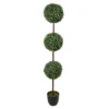 Northlight 4' Boxwood Triple Ball Topiary In Plastic Pot -Garden Oasis 810616727 A0 1