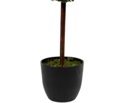 Northlight 4' Boxwood Triple Ball Topiary In Plastic Pot -Garden Oasis 810616727 A0 5