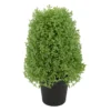 15" Boxwood Cone Topiary In Plastic Pot -Garden Oasis 810616789 A0 1