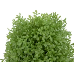 15" Boxwood Cone Topiary In Plastic Pot -Garden Oasis 810616789 A0 3