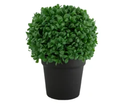 9.5" Boxwood Ball Topiary In Plastic Pot