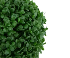 9.5" Boxwood Ball Topiary In Plastic Pot -Garden Oasis 810616792 A0 3
