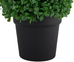 9.5" Boxwood Ball Topiary In Plastic Pot -Garden Oasis 810616792 A0 4