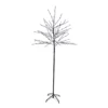Northlight 6' Color-Changing Cherry Blossom LED Tree -Garden Oasis 810616794 A0 1