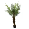 47" Phoenix Palm Tree In Plastic Pot -Garden Oasis 810616799 A0 1