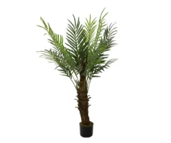 47" Phoenix Palm Tree In Plastic Pot