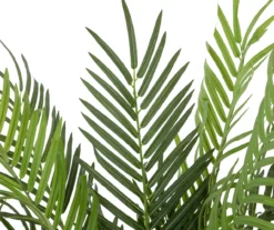 47" Phoenix Palm Tree In Plastic Pot -Garden Oasis 810616799 A0 3