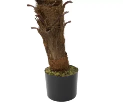 47" Phoenix Palm Tree In Plastic Pot -Garden Oasis 810616799 A0 4